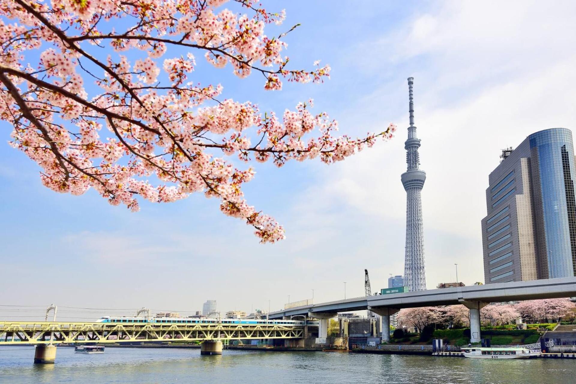 Honeys Guest House Tokyo Ngoại thất bức ảnh